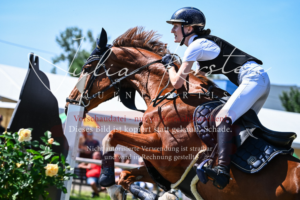 DSC_1186 | Pferde- und Turnierfotografie in Westsachsen. Pferdeportraits, Auftragszeichnungen und intuitive Kunst.