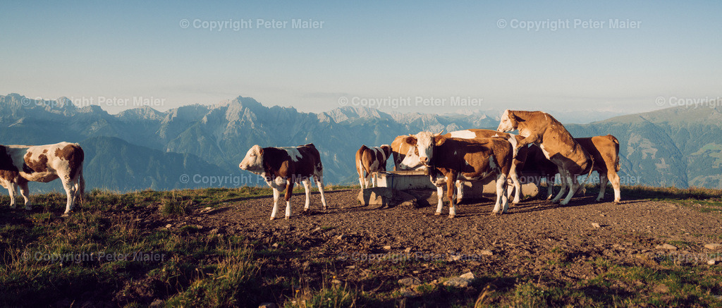 Zettersfeld_23-208 | piet_flosse