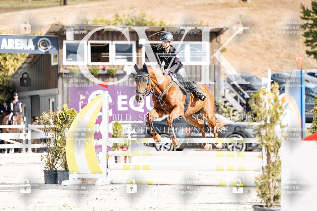 CK909022 | Turnierfotografie Pferdefotografie Trier Rheinland-Pfalz Pferdesport Reitsport Tierfotografie Sportfotografie Pferdevideo Pferdevideografie Equestrianvideography equestrianphotography  - Realisiert mit Pictrs.com