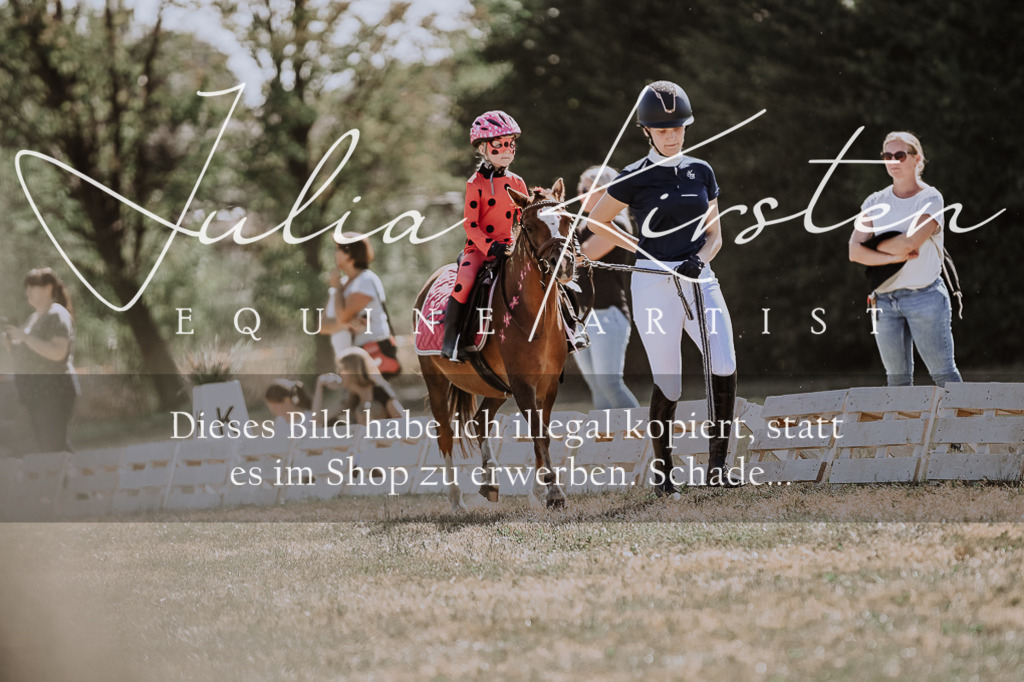 DSC_8907 | Pferde- und Turnierfotografie in Westsachsen. Pferdeportraits, Auftragszeichnungen und intuitive Kunst.