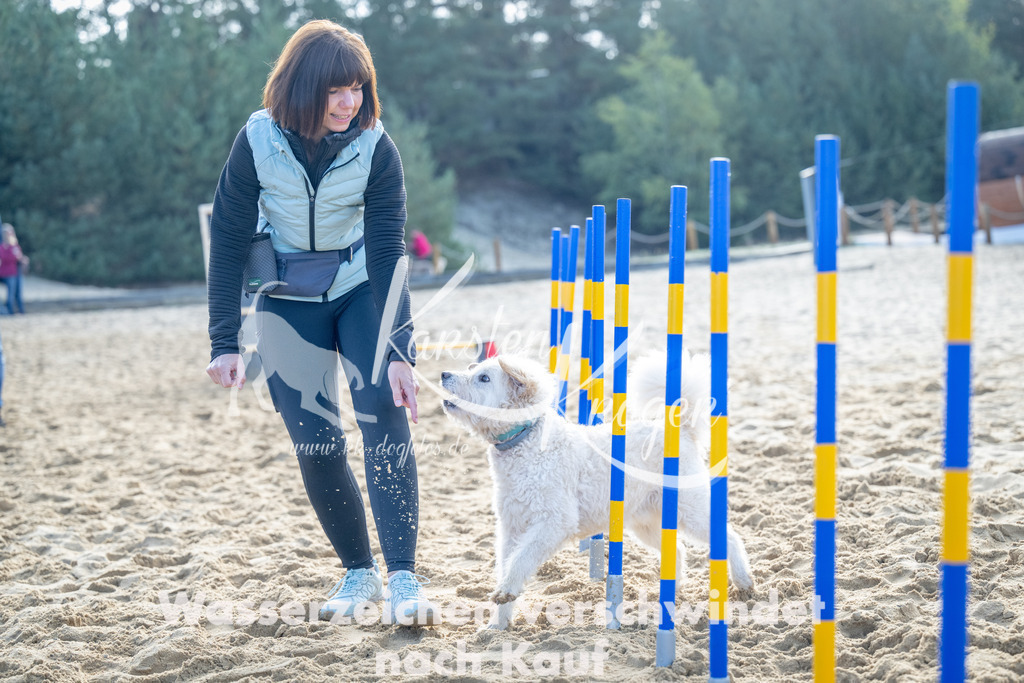 0955_ZZ93132 | kk-dogfotos