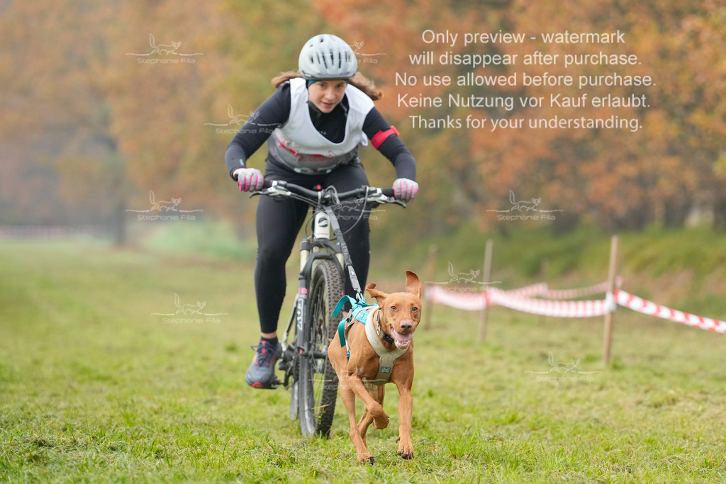 Visbeck_Sa_Bike-170 | stephaniefillaphotographie - Realisiert mit Pictrs.com