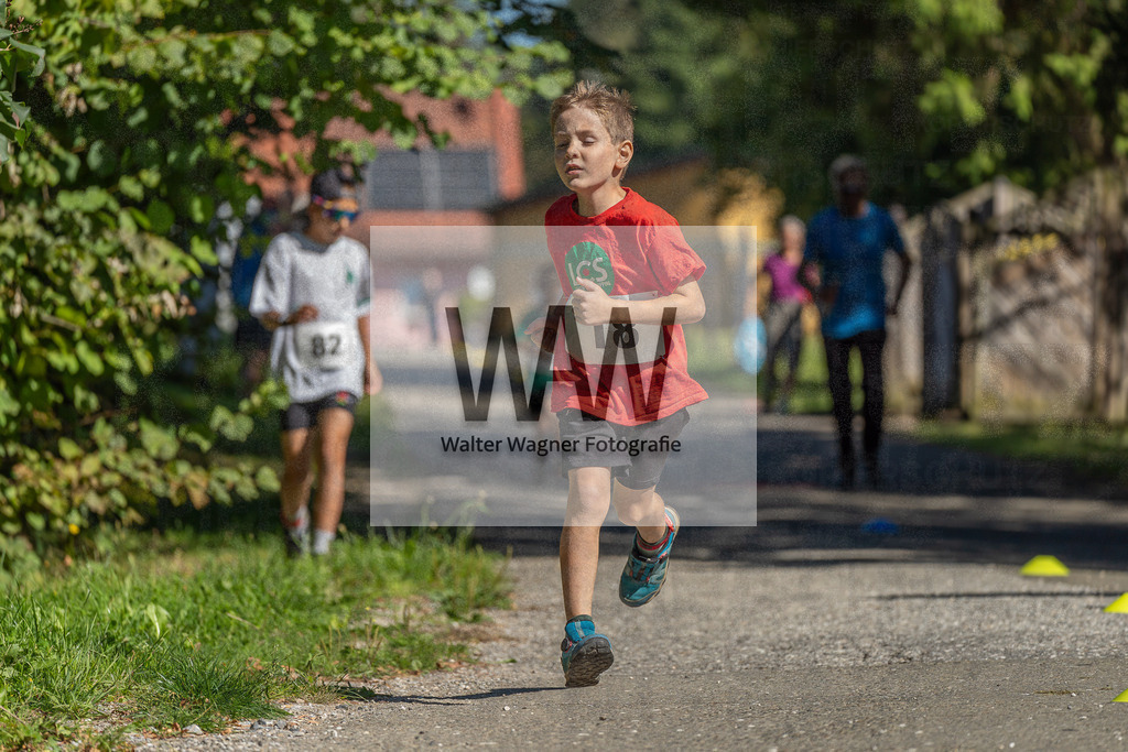 1WW04276 | walter-wagner-fotografie