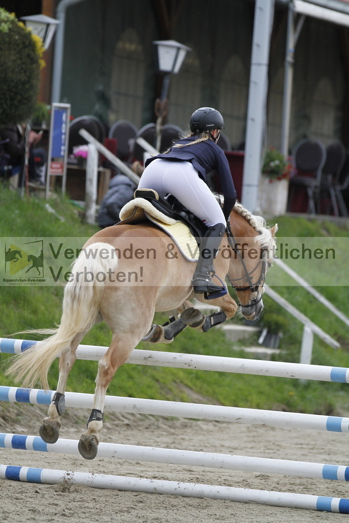 _MG_2908 | equestrian-live-com