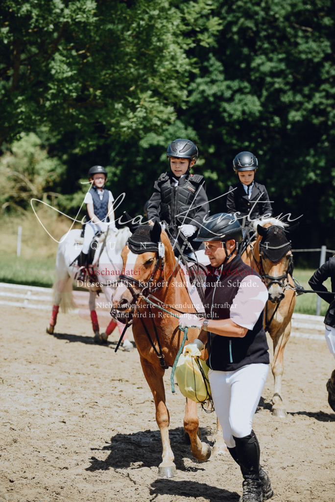 DSC_2704 | Pferde- und Turnierfotografie in Westsachsen. Pferdeportraits, Auftragszeichnungen und intuitive Kunst.