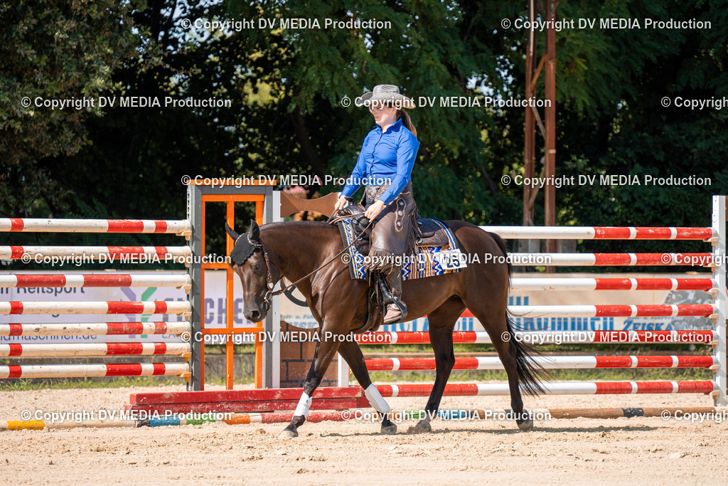 ZH100275 | dv-media-shop - Realisiert mit Pictrs.com