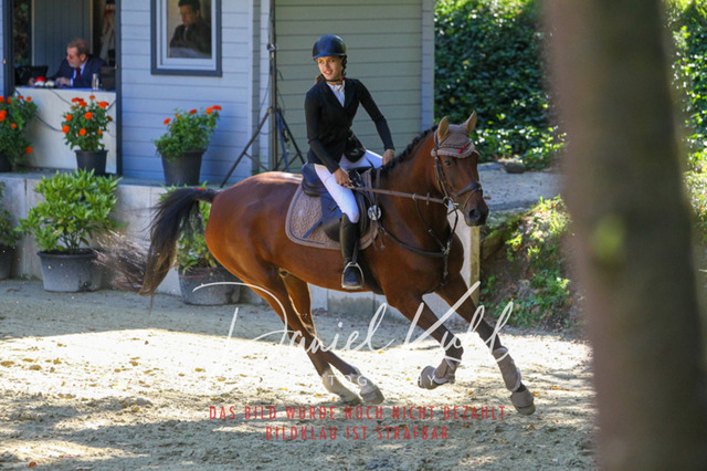 DKP42943 | Turniersportfotografie; Pferdefotografie; Dressurfotografie