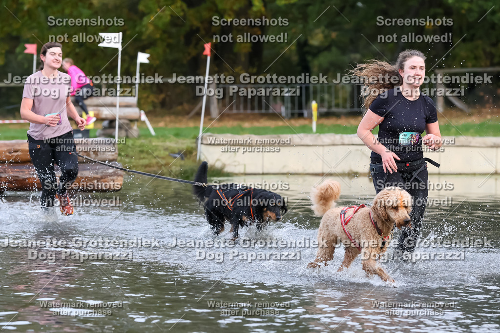 Dog Paparazzi - Strongdog 10-25-6474 | Dog Paparazzi Jeanette Grottendiek Fotografie & Videografie - Realisiert mit Pictrs.com