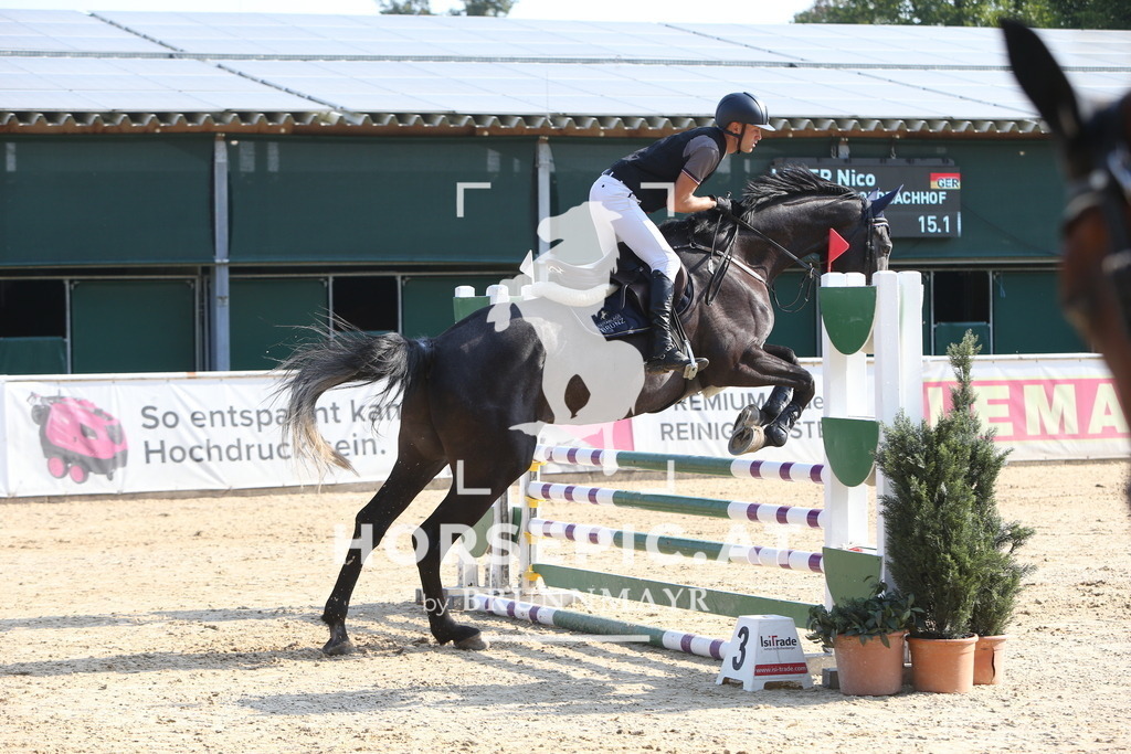 DL2Q0101 | Willkommen bei Brunnmayr - Design & Fotografie – Ihrem Spezialisten für Reitturniere und Pferdeveranstaltungen in Oberösterreich, Salzburg und Bayern! Seit über 17 Jahren sind wir leidenschaftlich dabei.