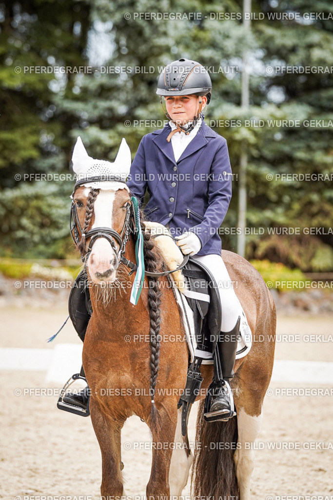 DSC04579 | Pferdegrafie