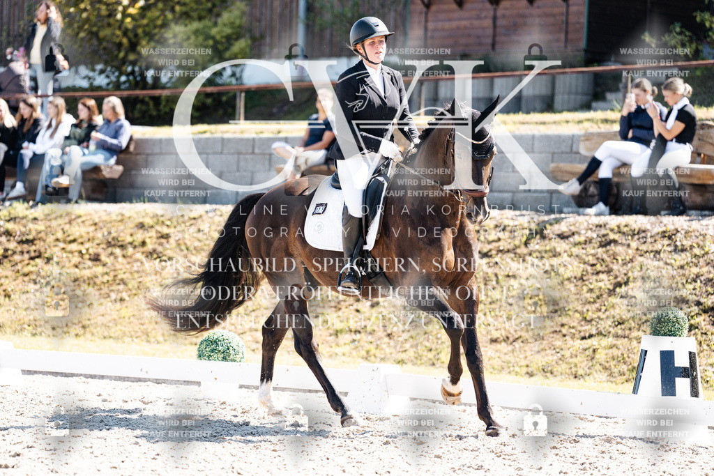 CK903605 | Turnierfotografie Pferdefotografie Trier Rheinland-Pfalz Pferdesport Reitsport Tierfotografie Sportfotografie Pferdevideo Pferdevideografie Equestrianvideography equestrianphotography  - Realisiert mit Pictrs.com