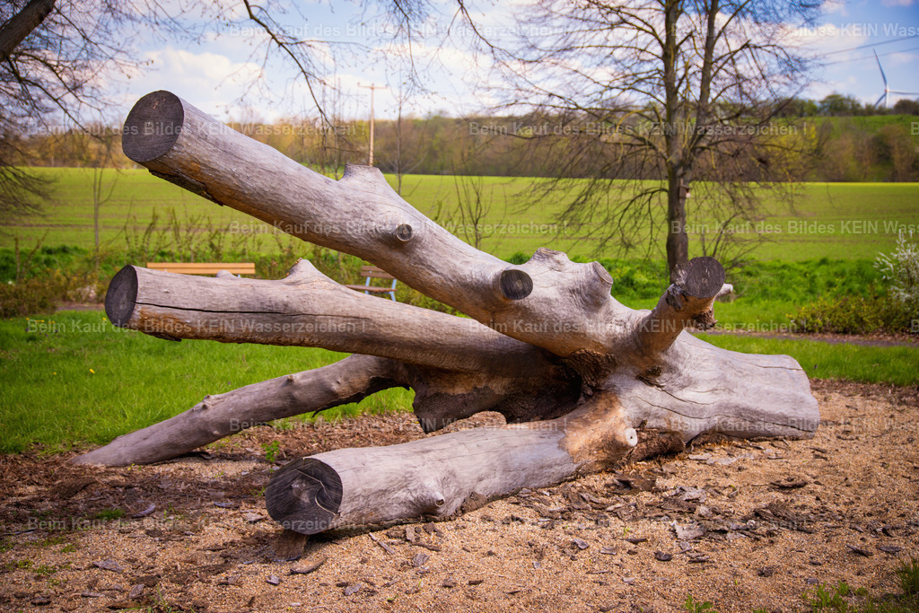 Mammendorf Wall _ Dorf-2637 | Park Eichenbarleben - Realisiert mit Pictrs.com