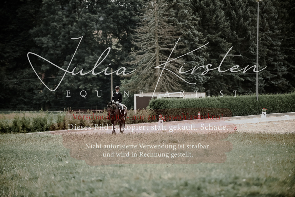 DSC_4275 | Pferde- und Turnierfotografie in Westsachsen. Pferdeportraits, Auftragszeichnungen und intuitive Kunst.