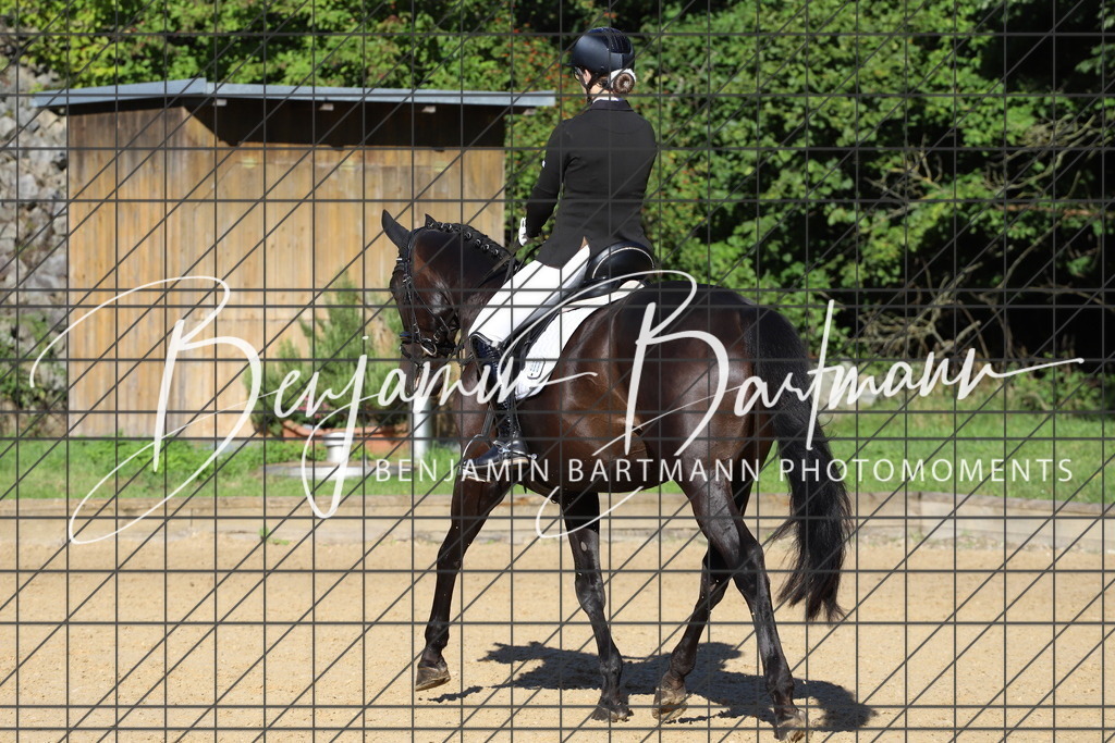 IMG_5068 | Benjamin Bartmann Photomoments