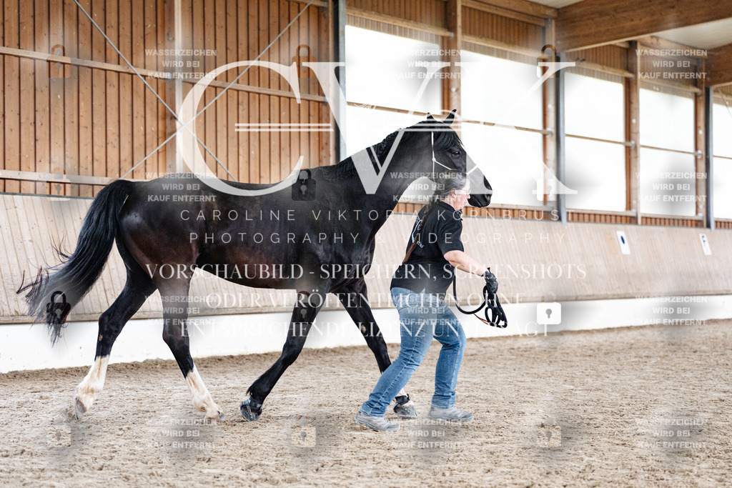 CK908014 | Turnierfotografie Pferdefotografie Trier Rheinland-Pfalz Pferdesport Reitsport Tierfotografie Sportfotografie Pferdevideo Pferdevideografie Equestrianvideography equestrianphotography  - Realisiert mit Pictrs.com