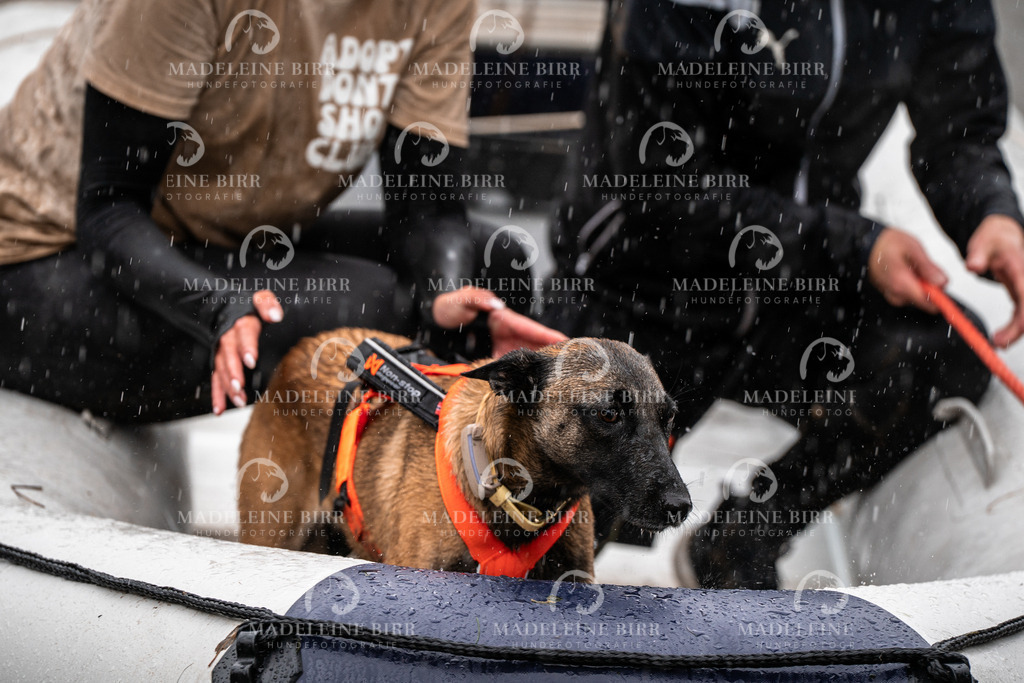 madeleinebirr-fotografie2025.campcanis.11-12Uhr-289 | hundefotografie-birr