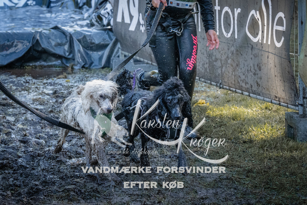 1443_ZZ93983 | kk-dogfotos
