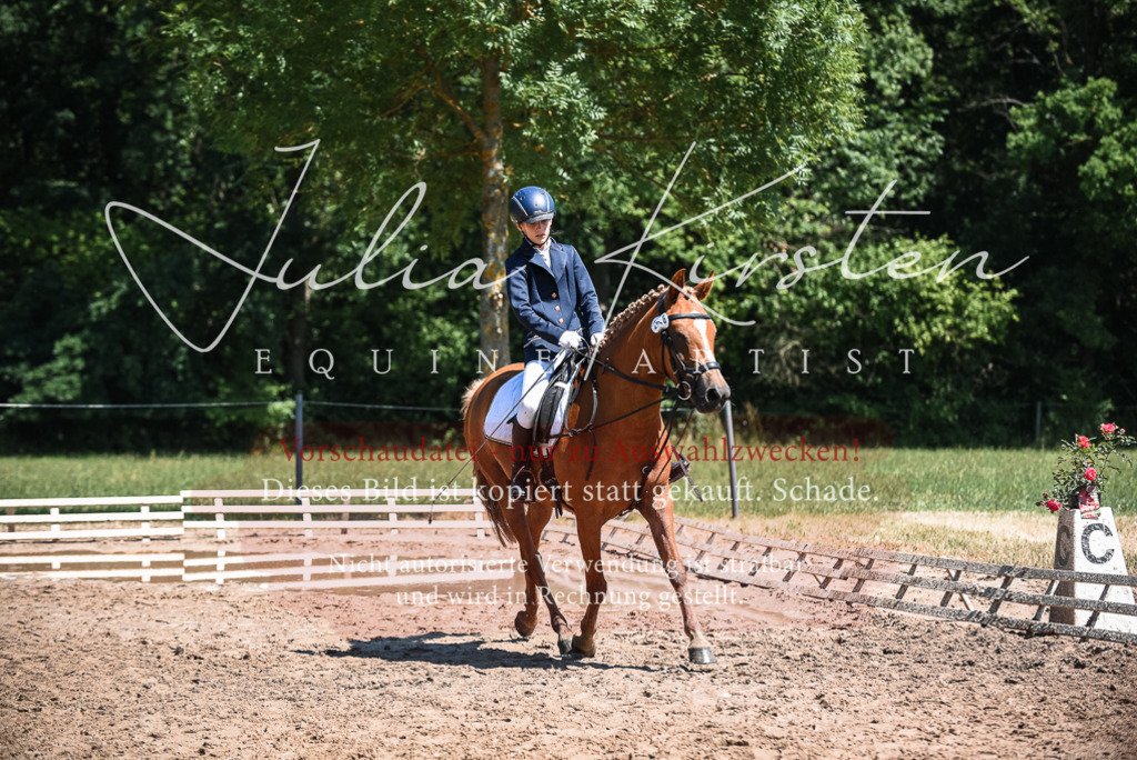 DSC_2923 | Pferde- und Turnierfotografie in Westsachsen. Pferdeportraits, Auftragszeichnungen und intuitive Kunst.