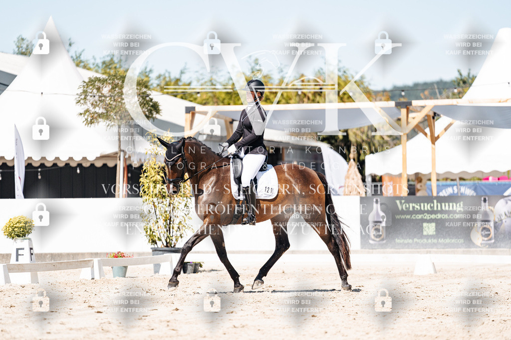 CK909786 | Turnierfotografie Pferdefotografie Trier Rheinland-Pfalz Pferdesport Reitsport Tierfotografie Sportfotografie Pferdevideo Pferdevideografie Equestrianvideography equestrianphotography  - Realisiert mit Pictrs.com