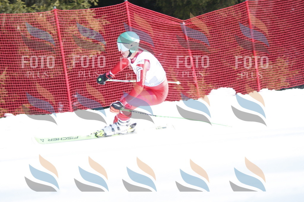 D7518 | holidayphoto