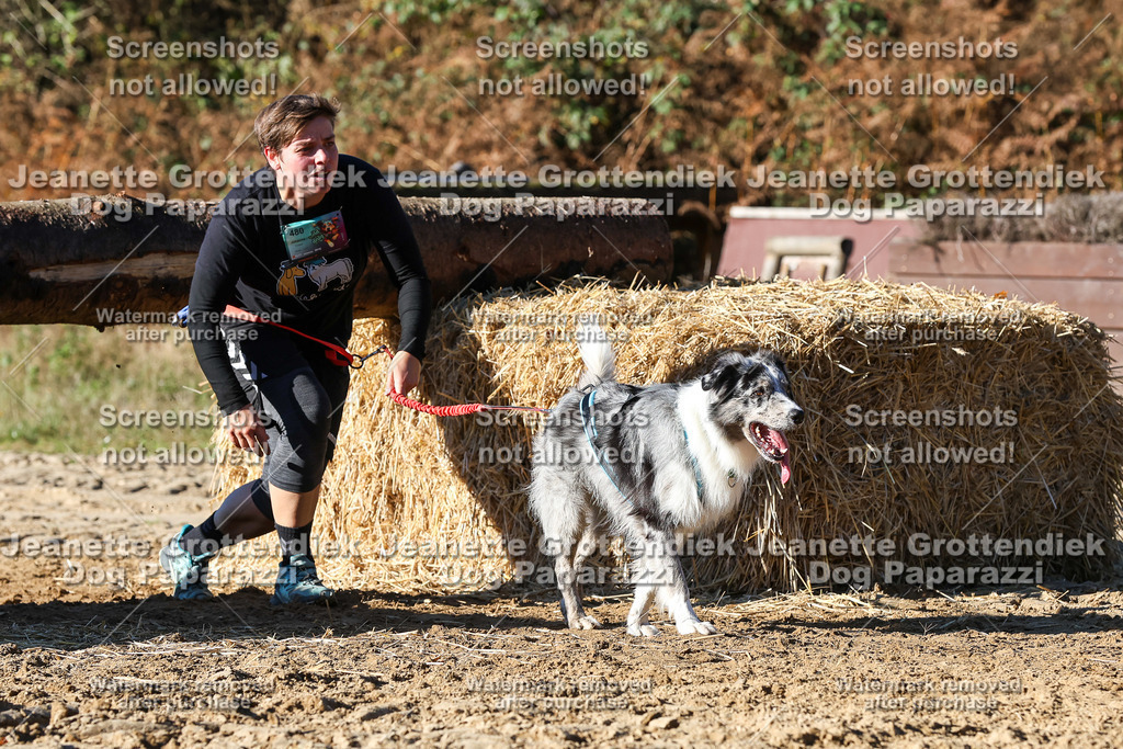 Dog Paparazzi - Strongdog 10-25-2193 | Dog Paparazzi Jeanette Grottendiek Fotografie & Videografie - Realisiert mit Pictrs.com