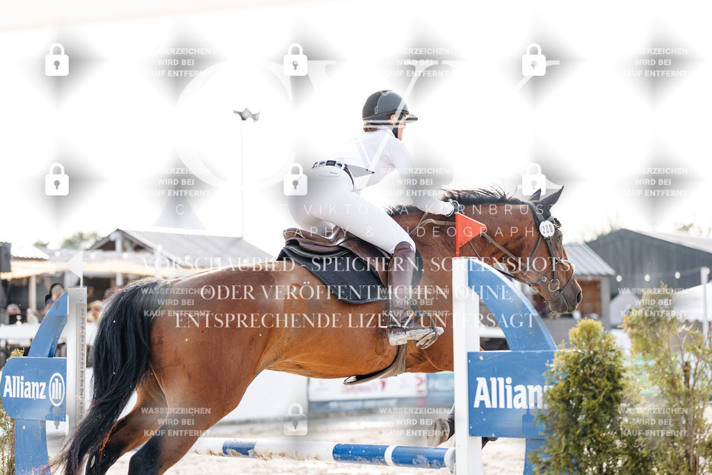 CK906644 | Turnierfotografie Pferdefotografie Trier Rheinland-Pfalz Pferdesport Reitsport Tierfotografie Sportfotografie Pferdevideo Pferdevideografie Equestrianvideography equestrianphotography  - Realisiert mit Pictrs.com