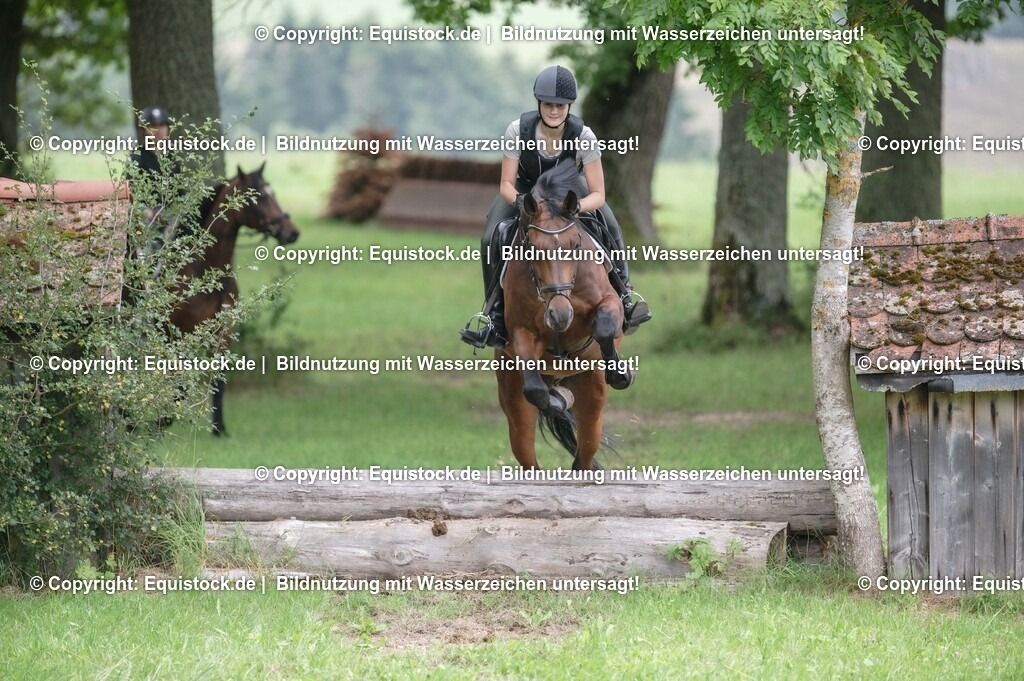 20250726_Vielseitigkeitslehrgang-Marbach_0735 | Foto: Thomas Hartig