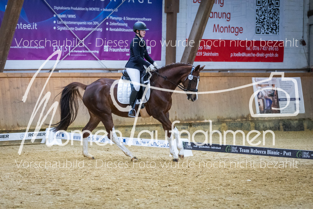 Sth-WBO25-EDr-064 | MomenTaufnahmen Pferdesportfotos