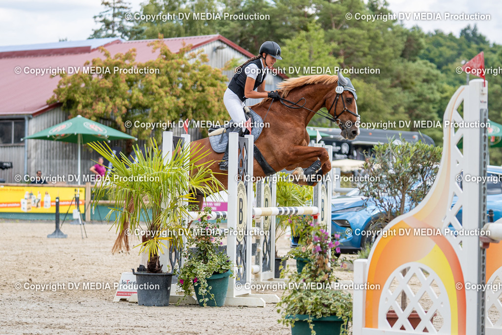 Hessische Tag 1-868 | dv-media-shop - Realisiert mit Pictrs.com