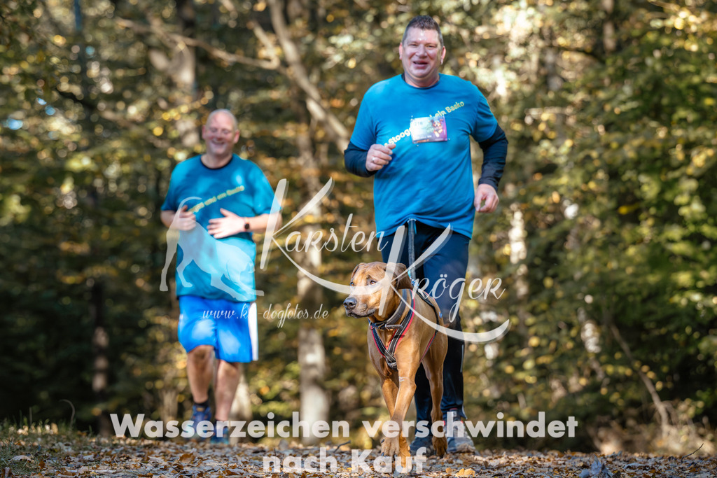 1119_ZZ91993 | kk-dogfotos