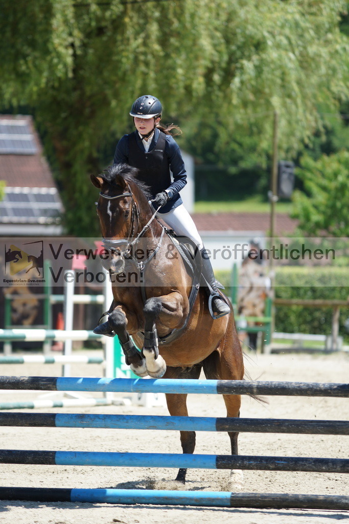 DSC09221 | equestrian-live-com