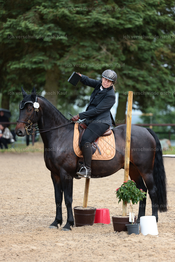 KlasseL_Stoibphotography_CAM23346.JPG | working equitationturnier fotograf videograf stoibphotography marixx film working equitation deutschland reitsport turnierfotografie eventfotografie equestrian events