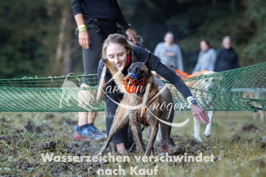 0857_ZZ91230 | kk-dogfotos