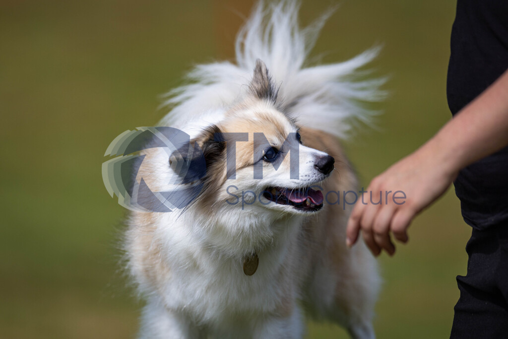 TP-20240815-0143 | Copyright: Trainproduction / Matthias Trinkl