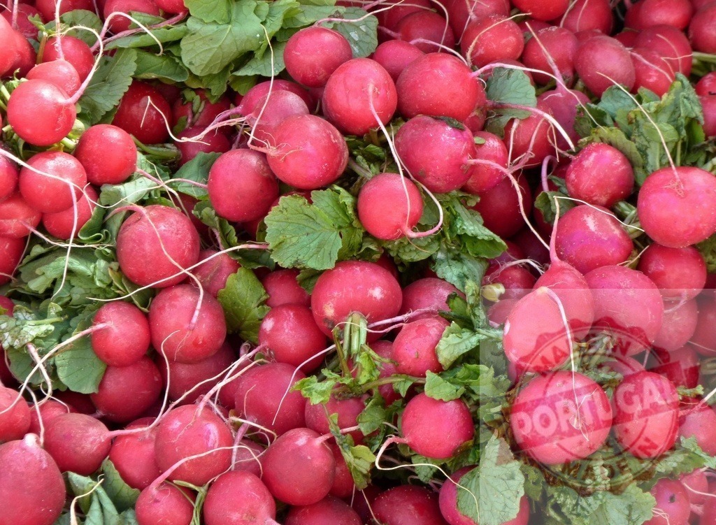 Fresh organic red radishes with green leaves | Ripe red radishes with vibrant green leaves packed together, indicating freshness and healthy eating - Realized with Pictrs.com