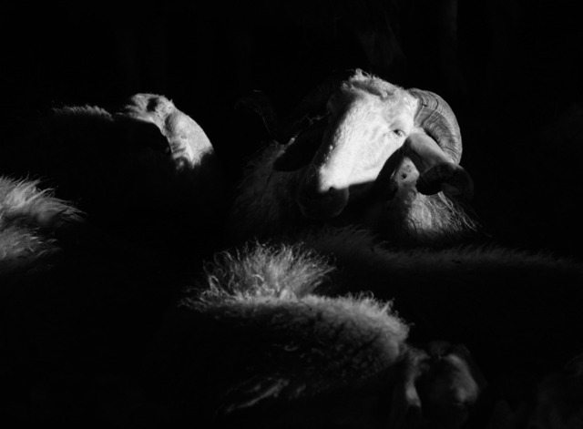 Lichtblick | blende43