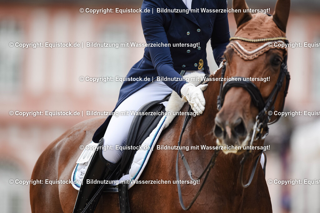 20250608_03_GP-Special-Tour_0252 | Foto: Thomas Hartig