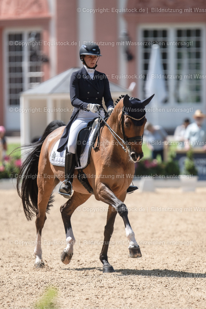 20230528_03_GP-Special-Tour_0128 | equistock