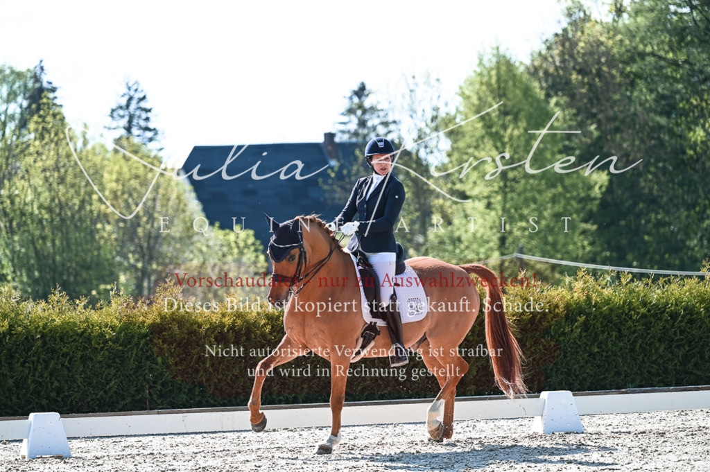 20230514_JK-Röhrsdorf-18-302 | Pferde- und Turnierfotografie in Westsachsen. Pferdeportraits, Auftragszeichnungen und intuitive Kunst.