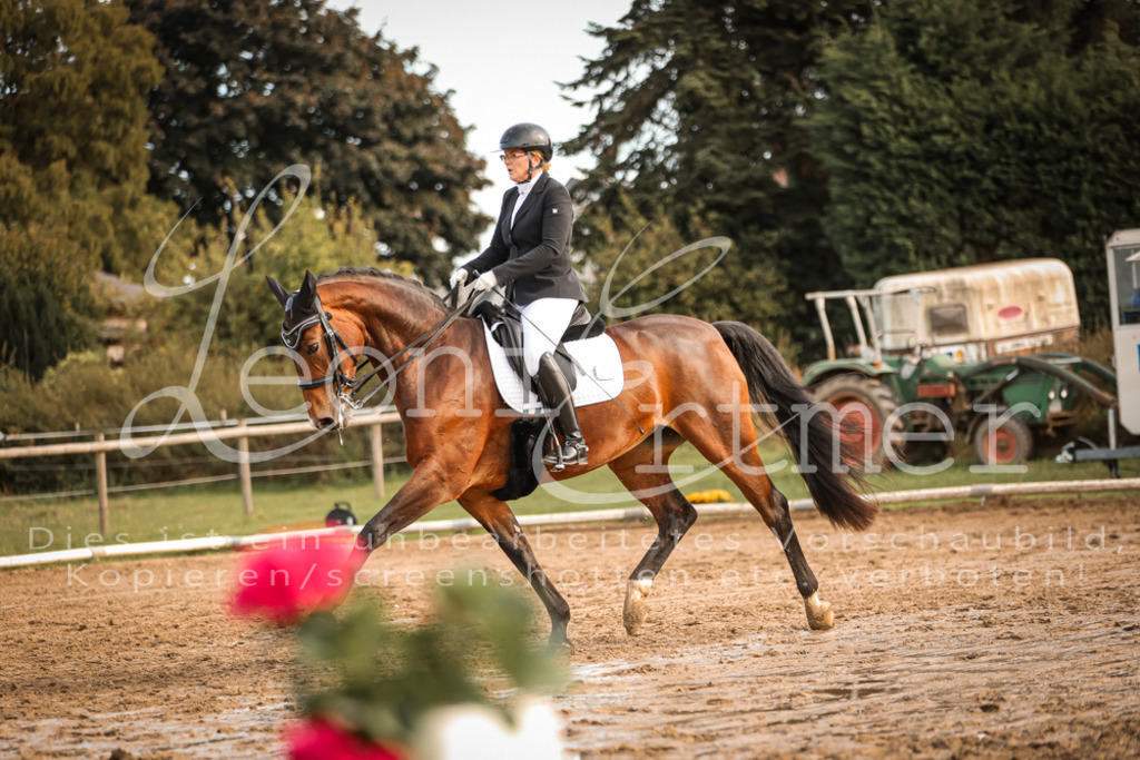 17.SoDrM00424 | Leoni Ertmer Photography - Realisiert mit Pictrs.com