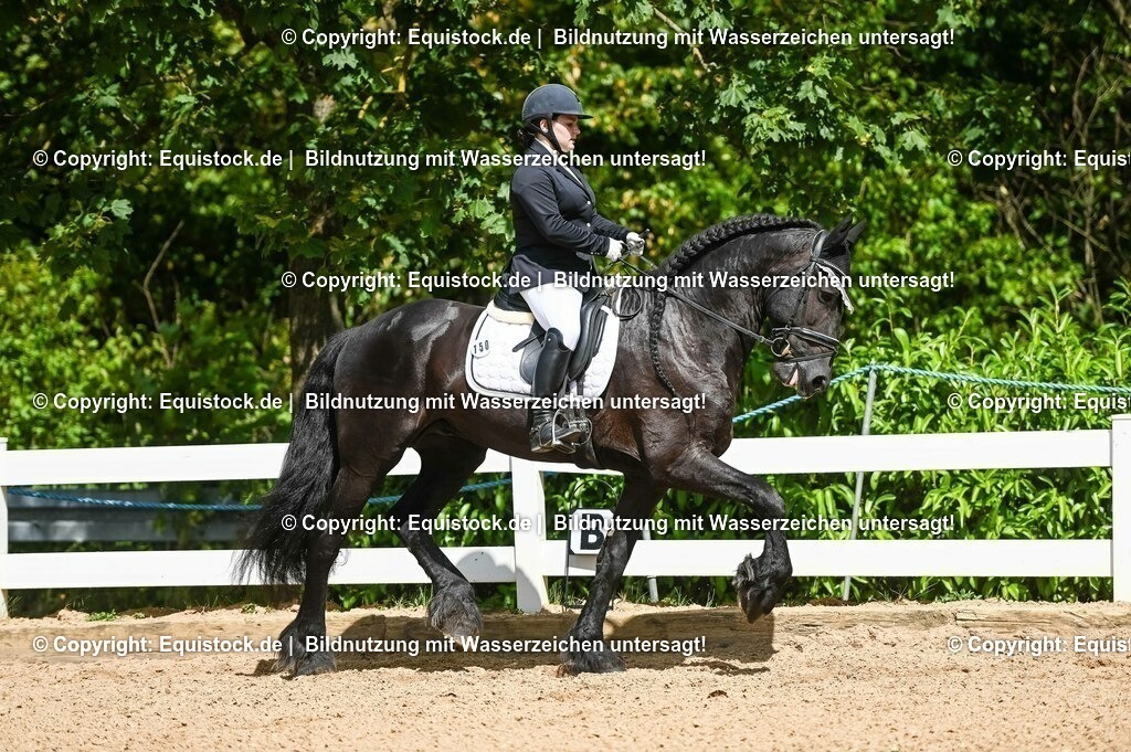 20230715_02_Dressurreiterprüfung Kl.L_0183 | equistock