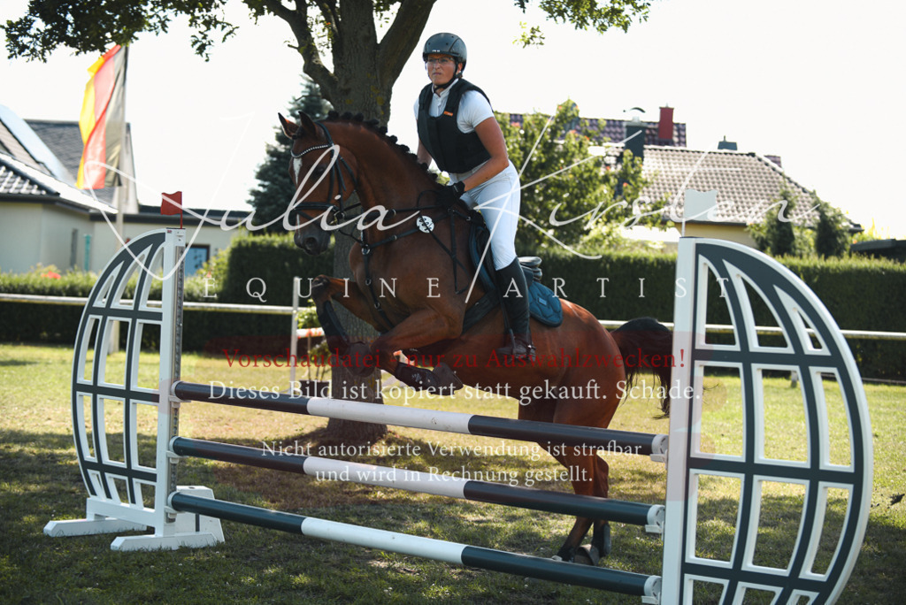 DSC_6938 | Pferde- und Turnierfotografie in Westsachsen. Pferdeportraits, Auftragszeichnungen und intuitive Kunst.