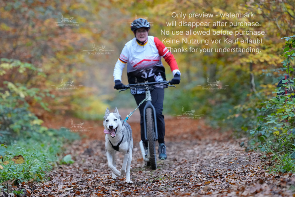 Scooter_So-86 | stephaniefillaphotographie - Realisiert mit Pictrs.com