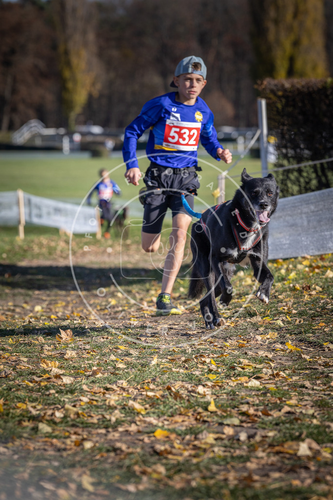 CaniXpix_DV3A8254 | Hundefotografie, Tierfotograf, Pfotenfotografie, Fotoshooting Hund, Hunde Portrait, Hundesport, Hundeportraits, Heideshooting, Hunde, Sportfotograf, Hundefotograf, Turnierhundsport, THS,  - Realisiert mit Pictrs.com