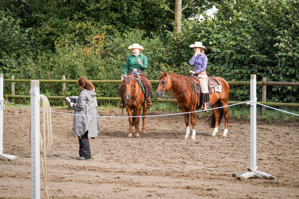 DSC00244 | Pferdegrafie