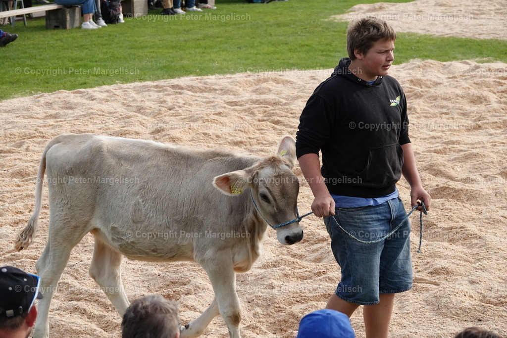 DSC08463 | Schwingen - Realisiert mit Pictrs.com