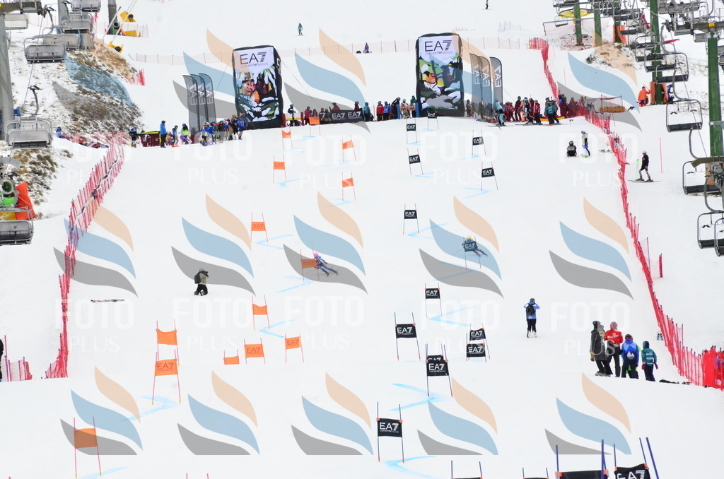 _ELE3527 | holidayphoto