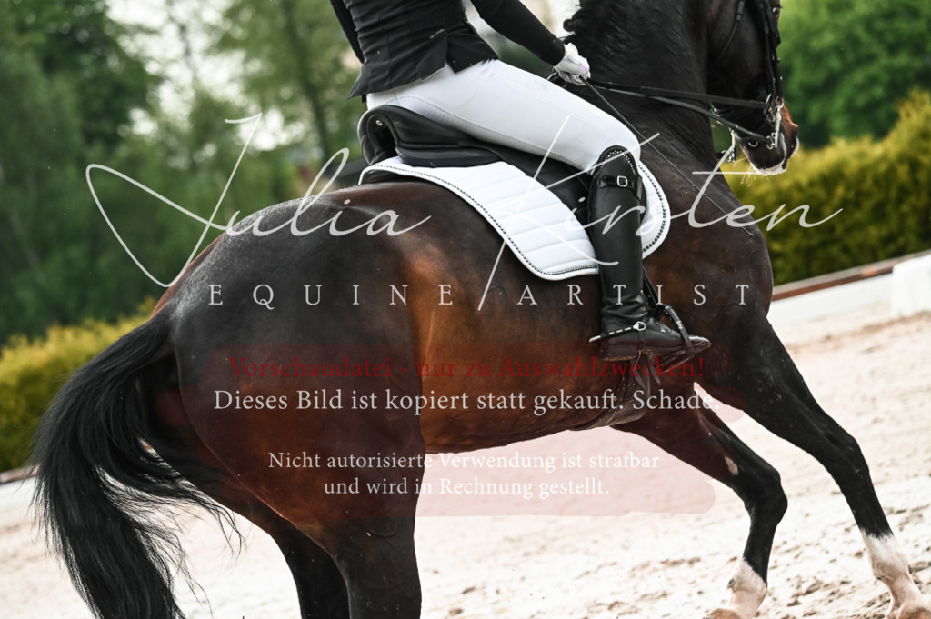 DSC_4360 | Pferde- und Turnierfotografie in Westsachsen. Pferdeportraits, Auftragszeichnungen und intuitive Kunst.