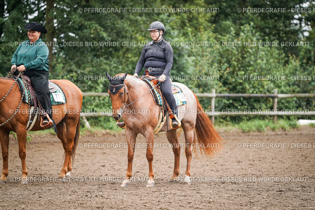 DSC01804 | Pferdegrafie