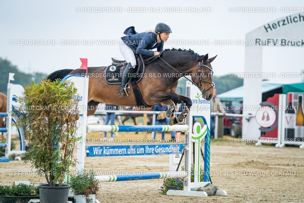 DSC01916 | Pferdegrafie